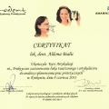 Powiększ obraz: certificate 7