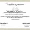 Powiększ obraz: certificate 8