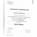 Powiększ obraz: certificate 6