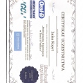Powiększ obraz: certificate 3