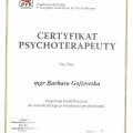 Powiększ obraz: certificate 3