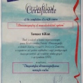 Powiększ obraz: certificate 4