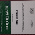 Powiększ obraz: certificate 5