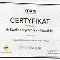 Powiększ obraz: certificate 5