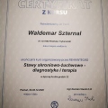 Powiększ obraz: certificate 10