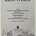 Powiększ obraz: certificate 5