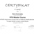 Powiększ obraz: certificate 3
