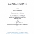 Powiększ obraz: certificate 8