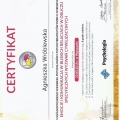 Powiększ obraz: certificate 6