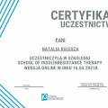 Powiększ obraz: certificate 3