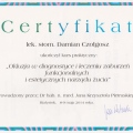Powiększ obraz: certificate 11