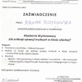 Powiększ obraz: certificate 2