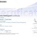 Powiększ obraz: certificate 11
