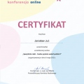 Powiększ obraz: certificate 31