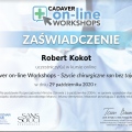 Powiększ obraz: certificate 9