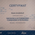Powiększ obraz: certificate 33