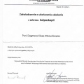 Powiększ obraz: certificate 8