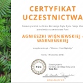 Powiększ obraz: certificate 28
