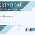 Powiększ obraz: certificate 8