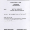 Powiększ obraz: certificate 38