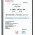Powiększ obraz: certificate 19