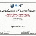 Powiększ obraz: certificate 3