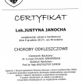 Powiększ obraz: certificate 7