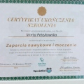 Powiększ obraz: certificate 8