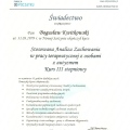 Powiększ obraz: certificate 15