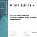 Powiększ obraz: certificate 3