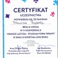Powiększ obraz: certificate 27
