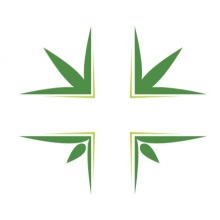 Cannabi Clinic