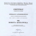 Powiększ obraz: certificate 2