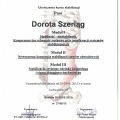 Powiększ obraz: certificate 2