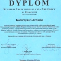 Powiększ obraz: certificate 1