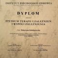 Powiększ obraz: certificate 1