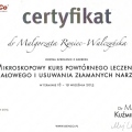 Powiększ obraz: certificate 20