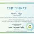 Powiększ obraz: certificate 20