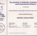 Powiększ obraz: certificate 11