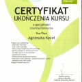 Powiększ obraz: certificate 6