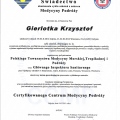 Powiększ obraz: certificate 5