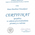 Powiększ obraz: certificate 7