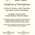 Powiększ obraz: certificate 7
