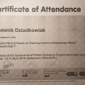 Powiększ obraz: certificate 3