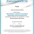 Powiększ obraz: certificate 9