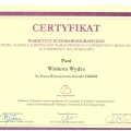 Powiększ obraz: certificate 3