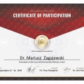 Powiększ obraz: certificate 2