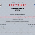Powiększ obraz: certificate 9