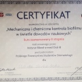 Powiększ obraz: certificate 2