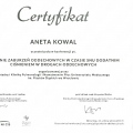 Powiększ obraz: certificate 6